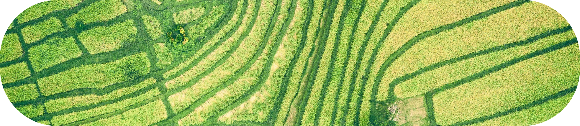 Agriculture & Environment-image